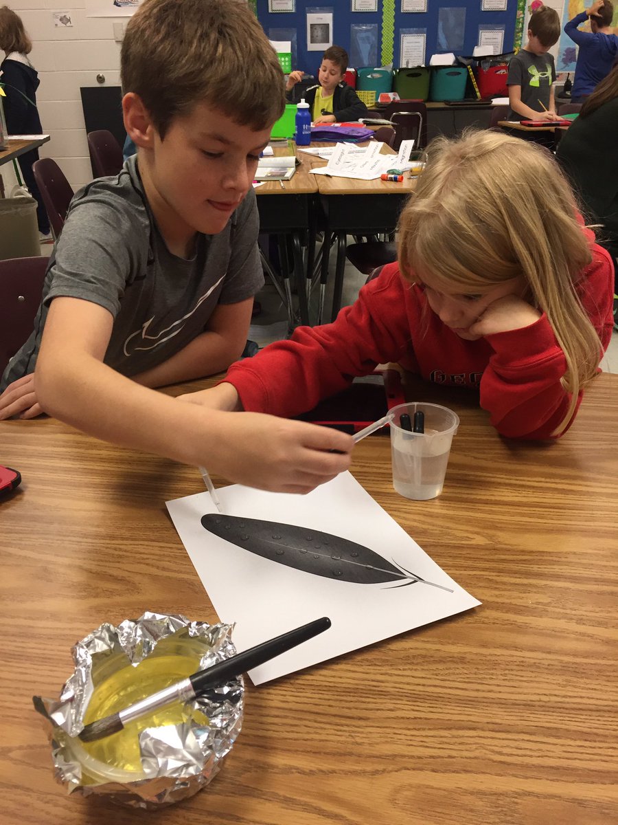 MrsHowell3BG's tweet photo. Investigating animal adaptations #bgestem https://t.co/3oxOp8OGiW