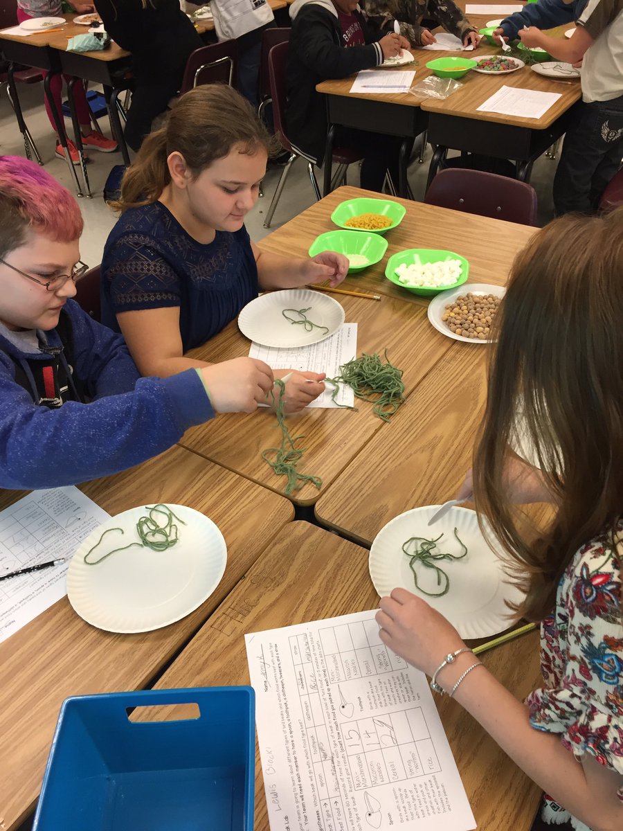 MrsHowell3BG's tweet photo. Bird Beak Lab #personalbestbgsa https://t.co/go2BLNmQjX