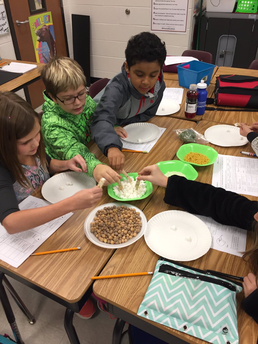 MrsHowell3BG's tweet photo. Bird Beak Lab #personalbestbgsa https://t.co/go2BLNmQjX