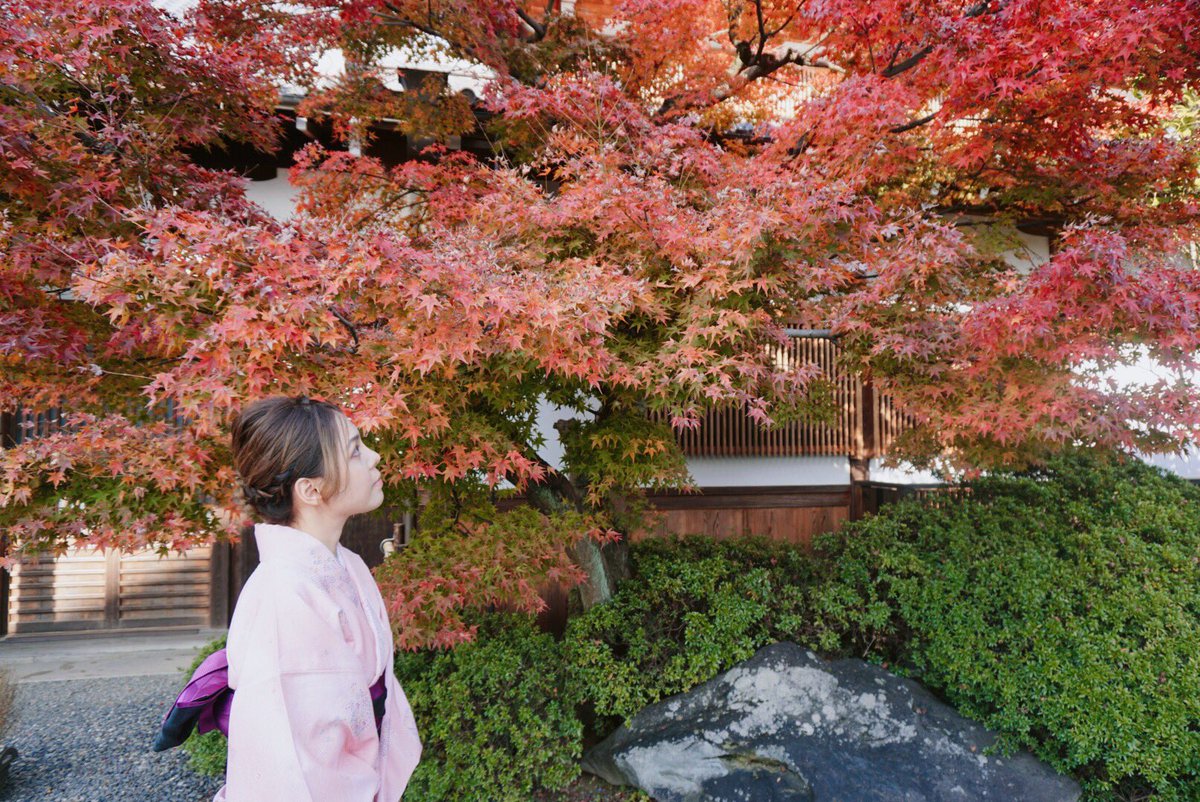 iammojii's tweet photo. แพลน Kyoto เมื่อวานเละเทะพังมาก ต้องไปซ่อมแพลนใหม่ แต่อย่างน้อยก็ได้ใส่ กิโมโนสมใจแล้ว 😊#japan1sttime https://t.co/wM0bWq99Qe