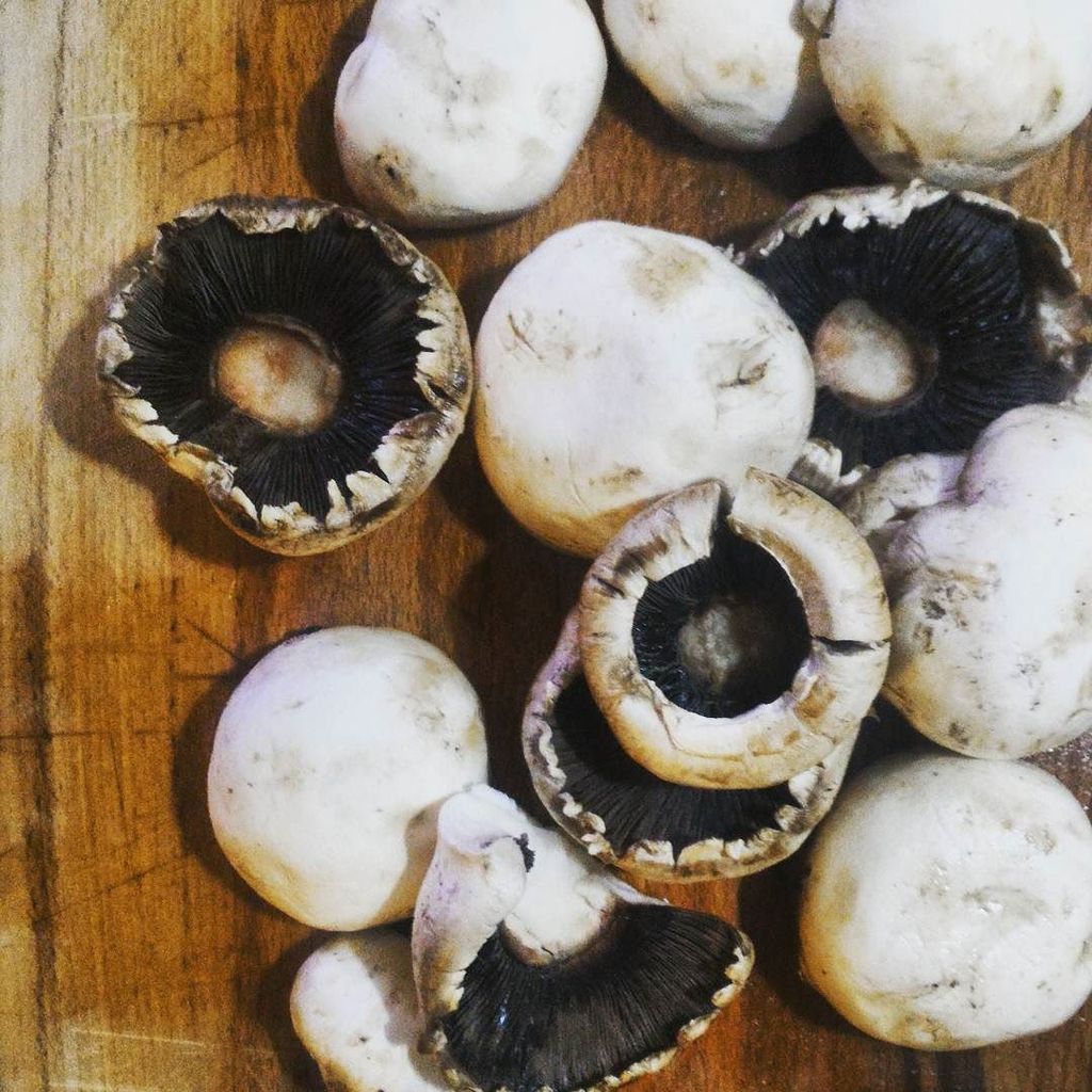lavitrineverte's tweet photo. Dramatic fall #automne2017 #champignons #veggielife https://t.co/1oVMl4eGkt https://t.co/AB6tUVnaO3