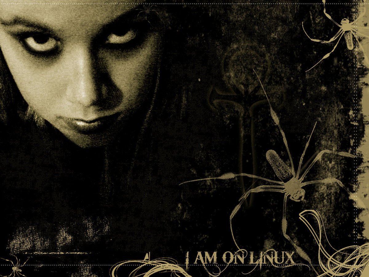 ken (@otiswildredneck) on Twitter photo 