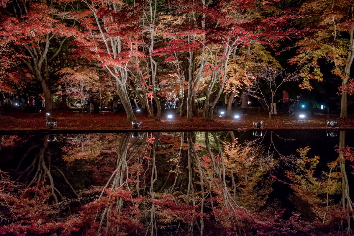 sarumie3's tweet photo. 定番の「第2の池」の紅葉🍁
🍁正面より🍁
#曽木公園
#リフレクション
#東京カメラ部
#PASHADELIC
#autumndelic
#reflectiondelic https://t.co/X23d1e7qIC