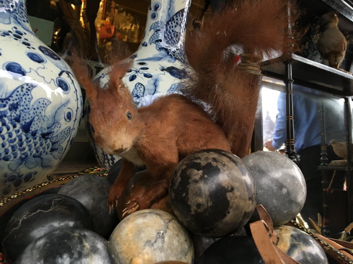 Squirrel away some great deals #RummageatRolfeys