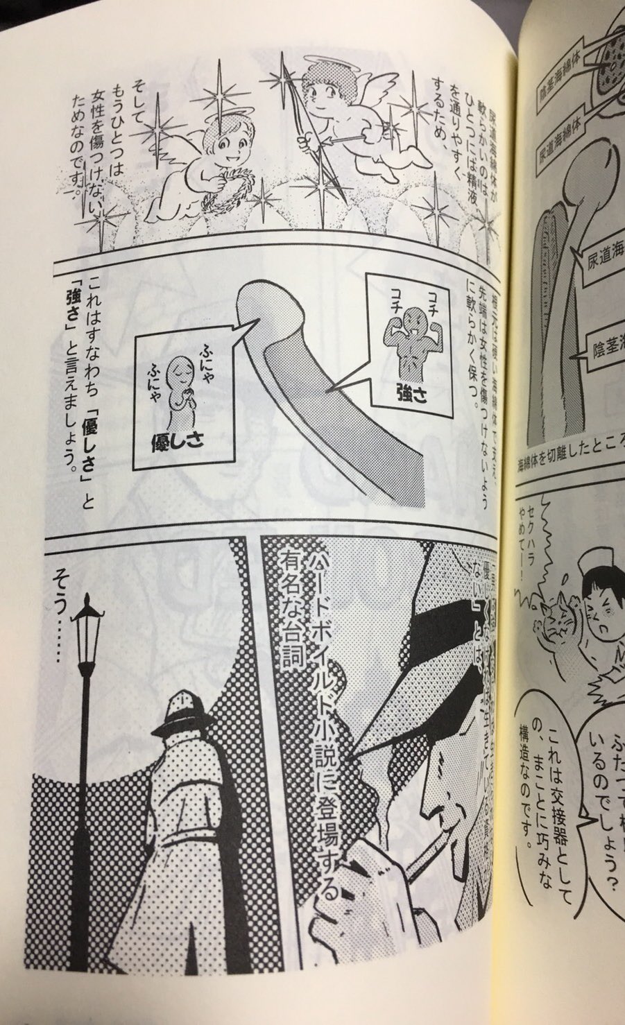 Twitter 上的 Av男爵しみけん ペニスは2種類の海綿体で形成されている 根元は硬くなる海綿体 裏と亀頭は柔らかい海綿体 理由は 女性を傷つけないため 神様やさしい この本 必読 人体の不思議 T Co Yckr1npzbi T Co Yjag3ba8bh Twitter
