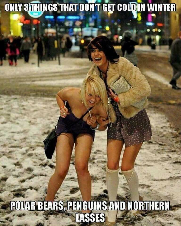 stephaniemain2's tweet image. Lmao northern