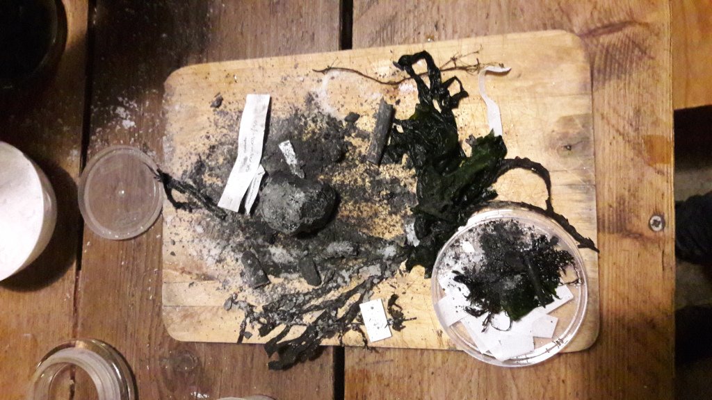 WorkProcessing's tweet image. Featured Practitioner: Sarah Blissett #WP17 workprocessing.wordpress.com/2017/11/18/wp1…