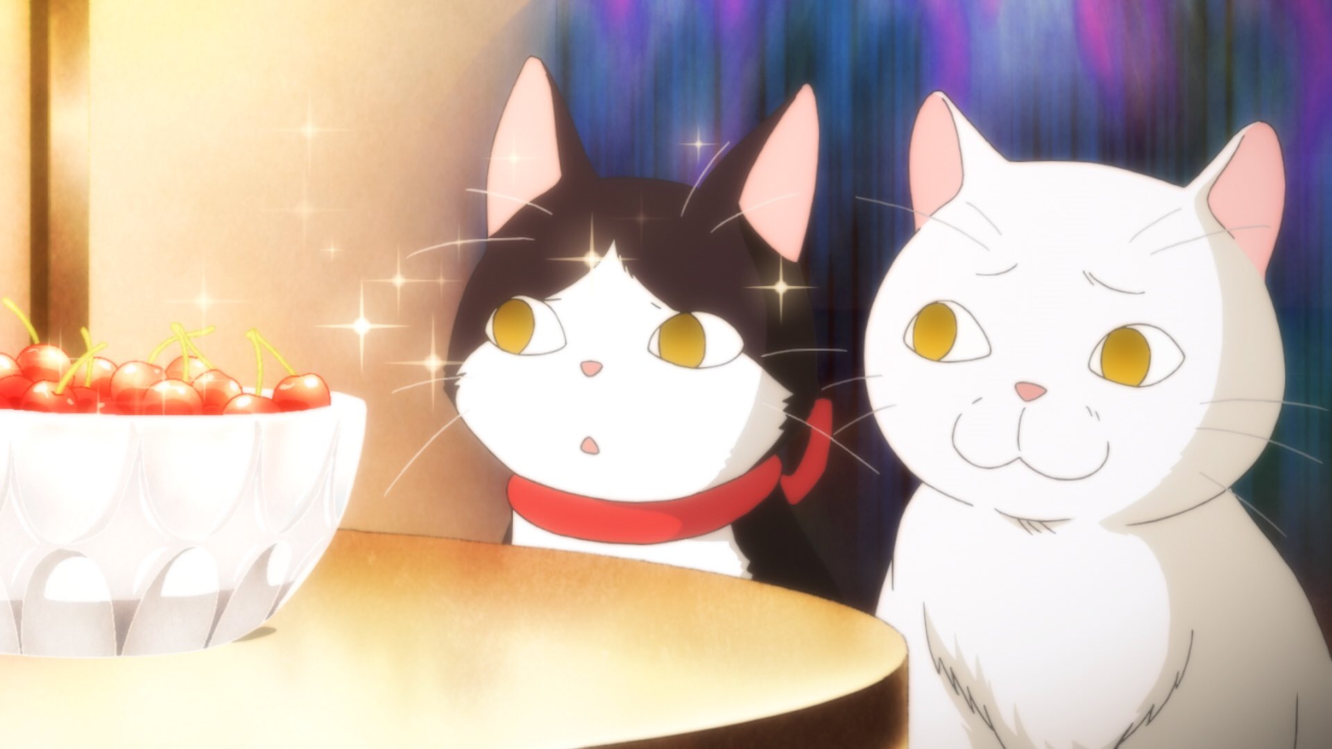 Tvアニメ ３月のライオン 公式 Sur Twitter 先行カット公開 今夜23 00からｎｈｋ総合テレビにて ３月のライオン 第28話 第2シリーズ6話 が放送です 川本家のニャーたちは今日も元気 です