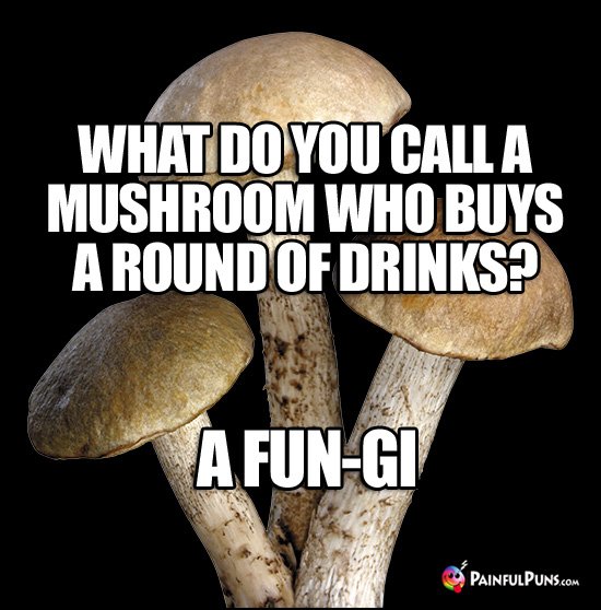 PainfulPunz's tweet image. Q. Why do toadstools live so close together? 
A. Because they don&apos;t need mushroom.