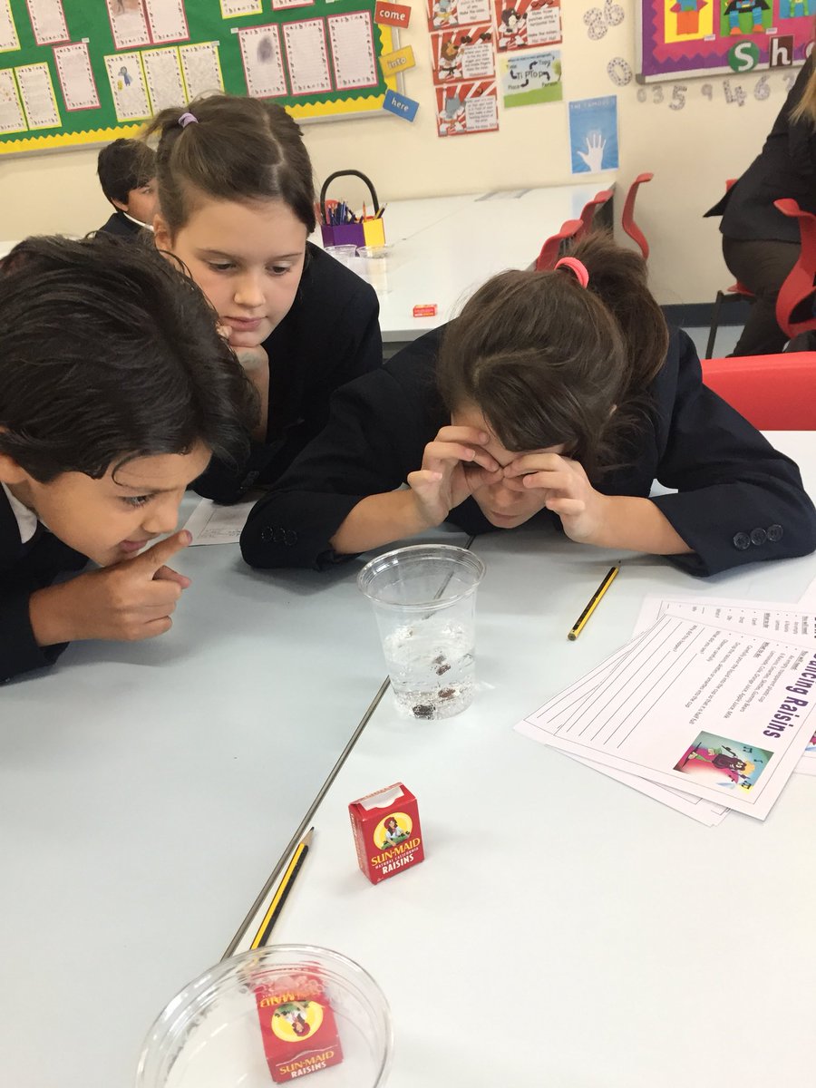 BCADyear3's tweet photo. Observing closely - what will happen to the skittle in the lemonade? #science #openday #curious #observers https://t.co/3as012eDG1