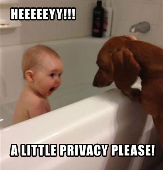 Local_Proxies's tweet photo. Do you enjoy your "little privacy" from your ISP & meta tracking websites? Protect your privacy, GET your Premium Proxies TODAY at https://t.co/Y1yIsirtc0. #privacypls #residentialproxies #localproxies https://t.co/ValAp94wwp