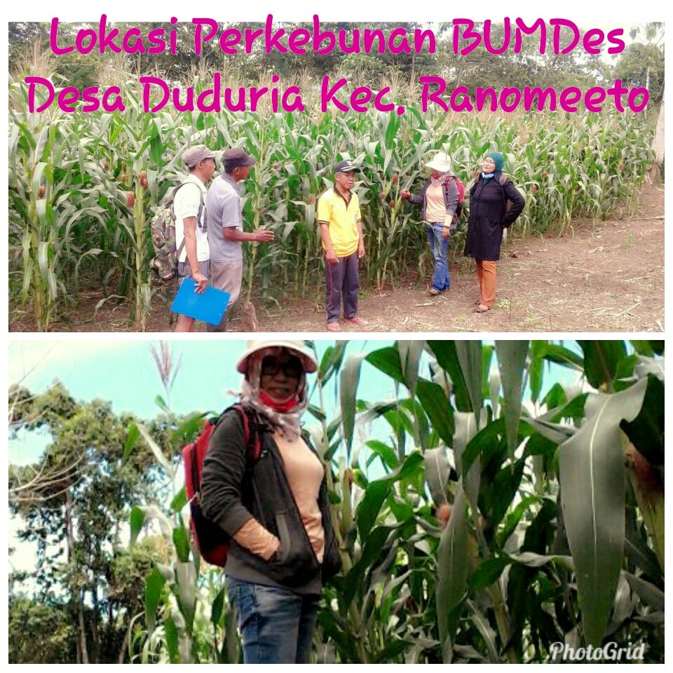 kadir_guru's tweet image. #ManfaatDanaDesa
#Sultra
#Konsel 
Trima kasih kepada:
@jokowi 
@EkoSandjojo 
@anwsanusi 
@taufikmadjid71 
@fachrilabalado 
@KemenkeuRI