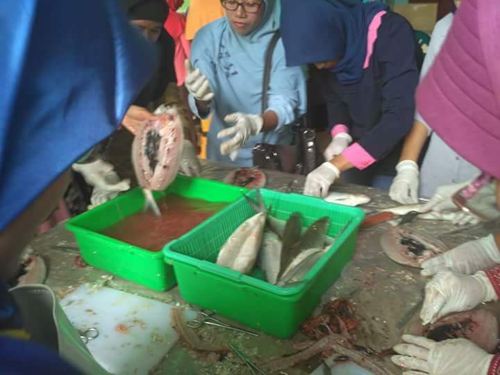 heni_wee's tweet photo. Meningkatkan kwalitas masyarakat desa
#ManfaatDanaDesa
#MembangunDesa
#JawaTimur
#Kebomas
@KemenDesa
@EkoSandjojo
@taufikmadjid71
@DirjenPPMD
@ChoirilAkbar1
@fachrilabalado
@tppindonesia https://t.co/sYQLwpe32m