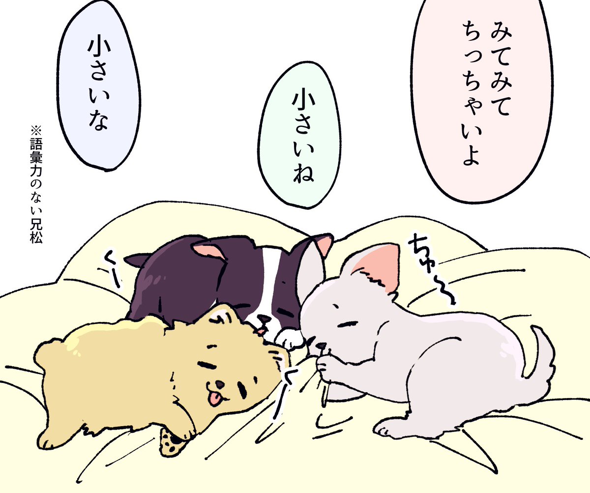 【犬弟松】ちっちゃいの 