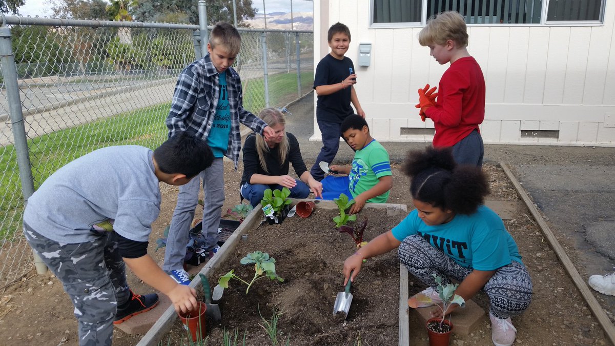 Getting our garden on!
<a href="/HatlandLeslie/">Leslie Hatland</a> <a href="/MViTElementary/">Mountain View</a>