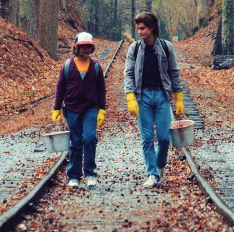 ダスティン好きお待ちしております Amazon | 鳥の花柄刺繍キット、大人のためのクロスステッチ