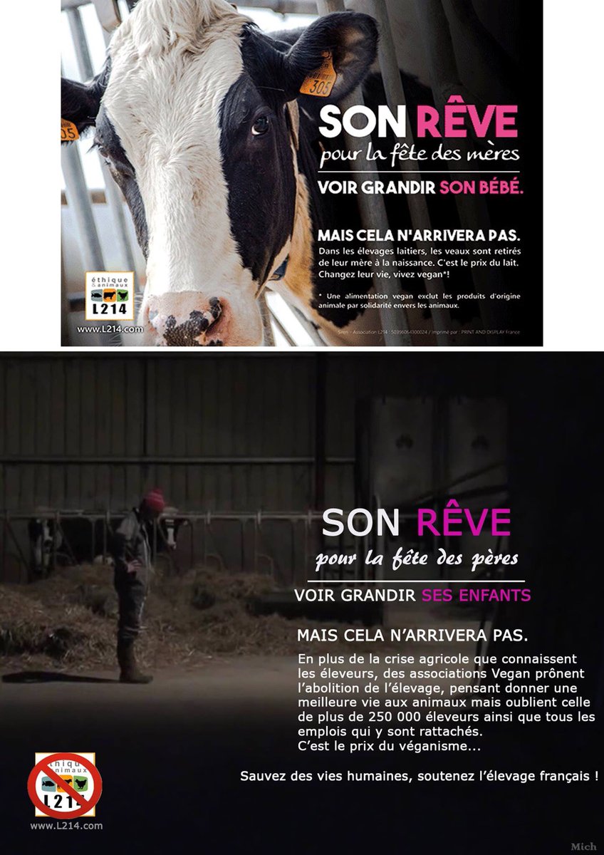 Antoine Opoix tweet media