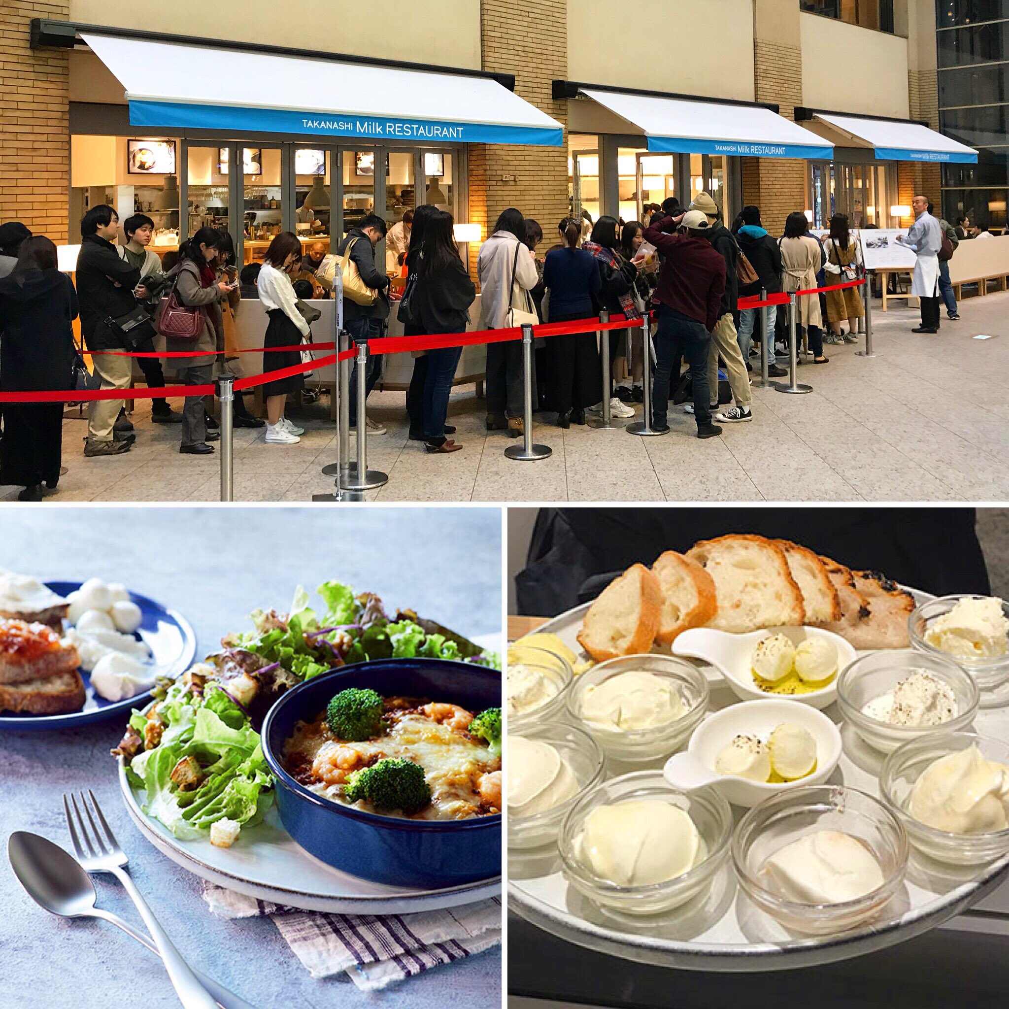 としお 横浜みなとみらいに出来たフレッシュチーズ食べ放題のレストラン Takanashi Milk Restaurant タカナシミルクレストラン やはり長蛇の列で断念 空いたら行こう Cheese Restaurant Yokohama 横浜 タカナシ乳業 T Co Cddpi6hjyx