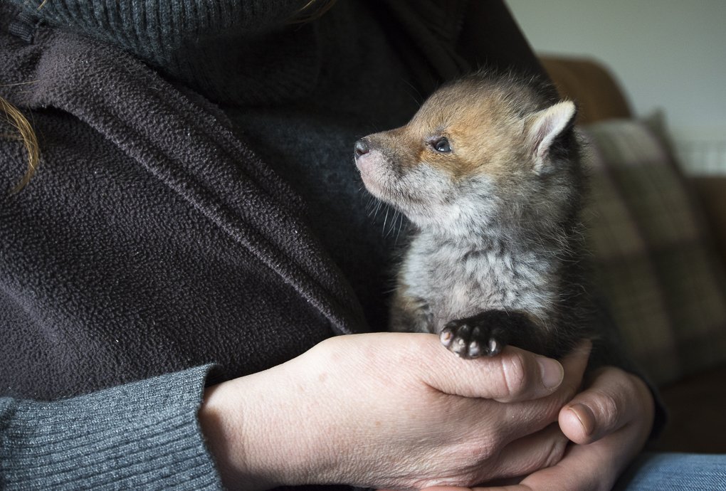 Please don't let the government remove the sentient status from animals.
facebook.com/21665311851452…
Sign and share this petition.
action.ciwf.org.uk/ea-action/acti…
<a href="/ChrisGPackham/">Chris Packham</a> <a href="/rickygervais/">Ricky Gervais</a>