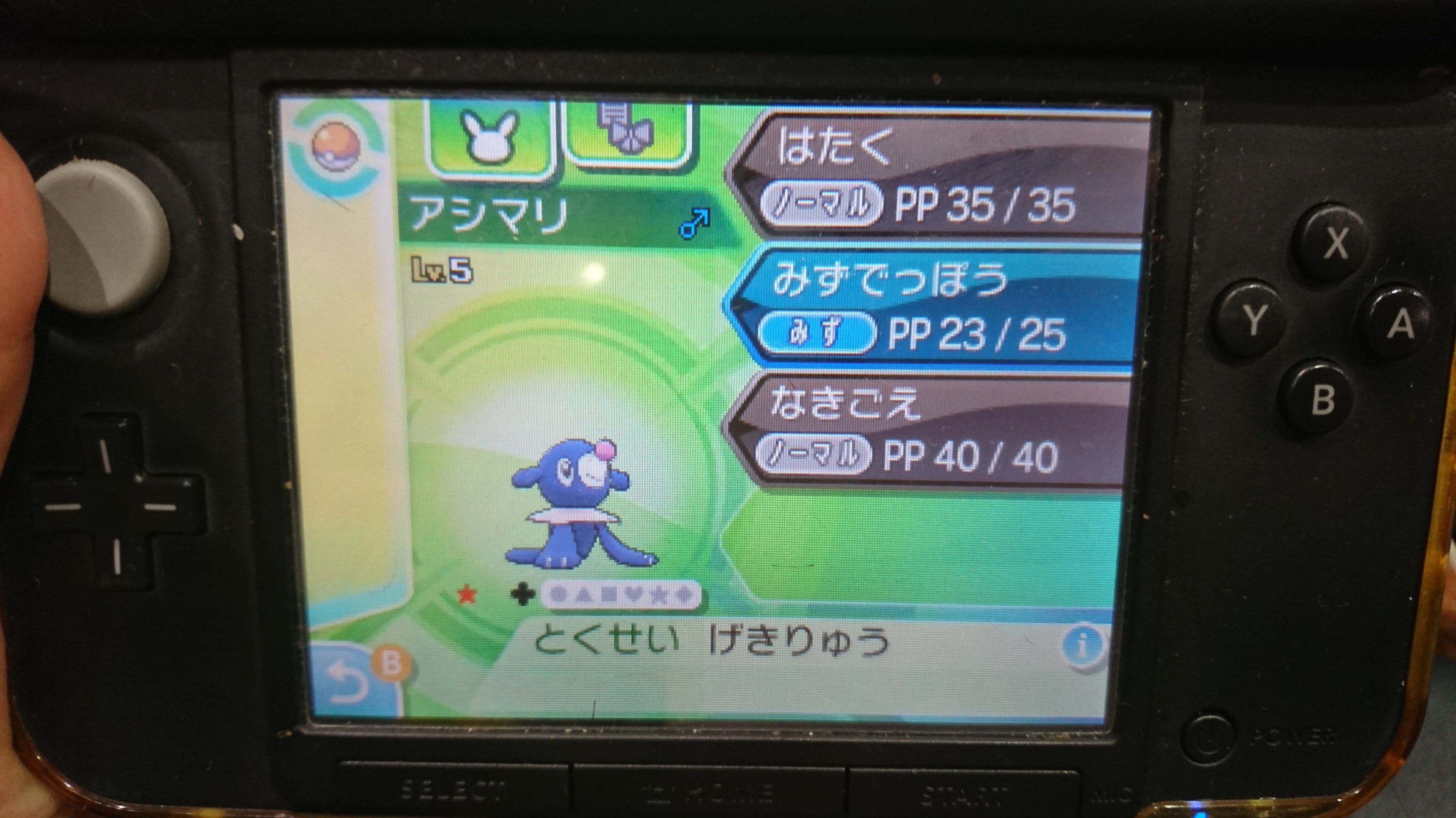 色違いアシマリ Twitter Search Twitter