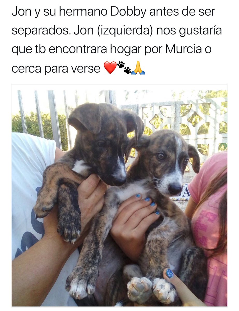 beadifusiones's tweet photo. #FelizSabado https://t.co/rAm7c2UTcT