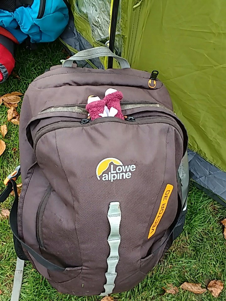 Squidgina ready to set off for the day #SLUGSonTour
