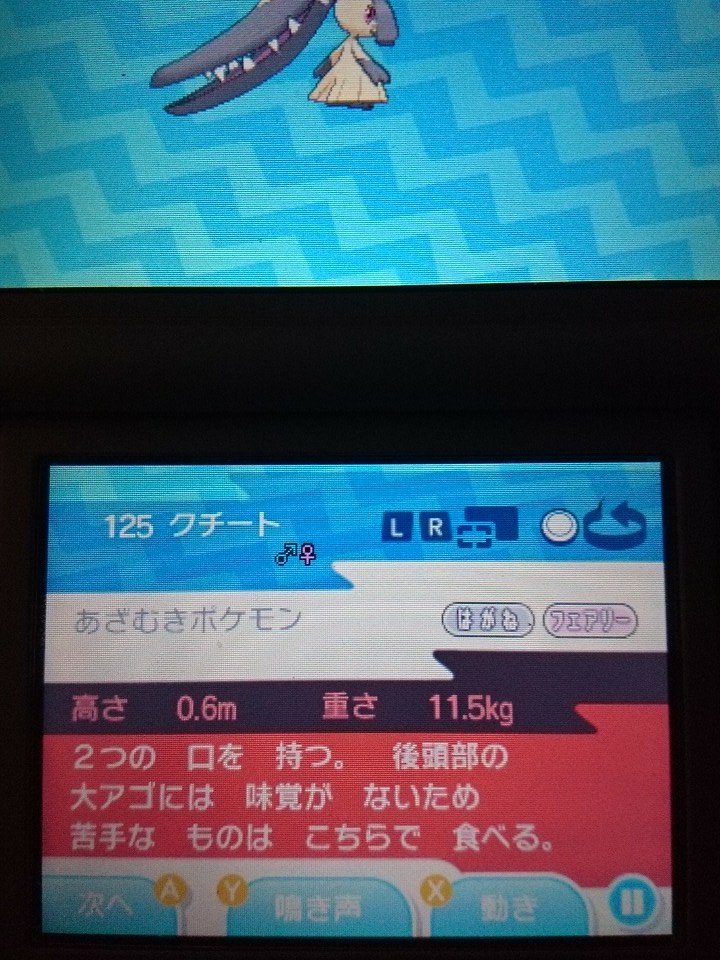 ポケモンusum 今作は野生で クチート が出現 序盤のどこかで見落としている人もいるかも