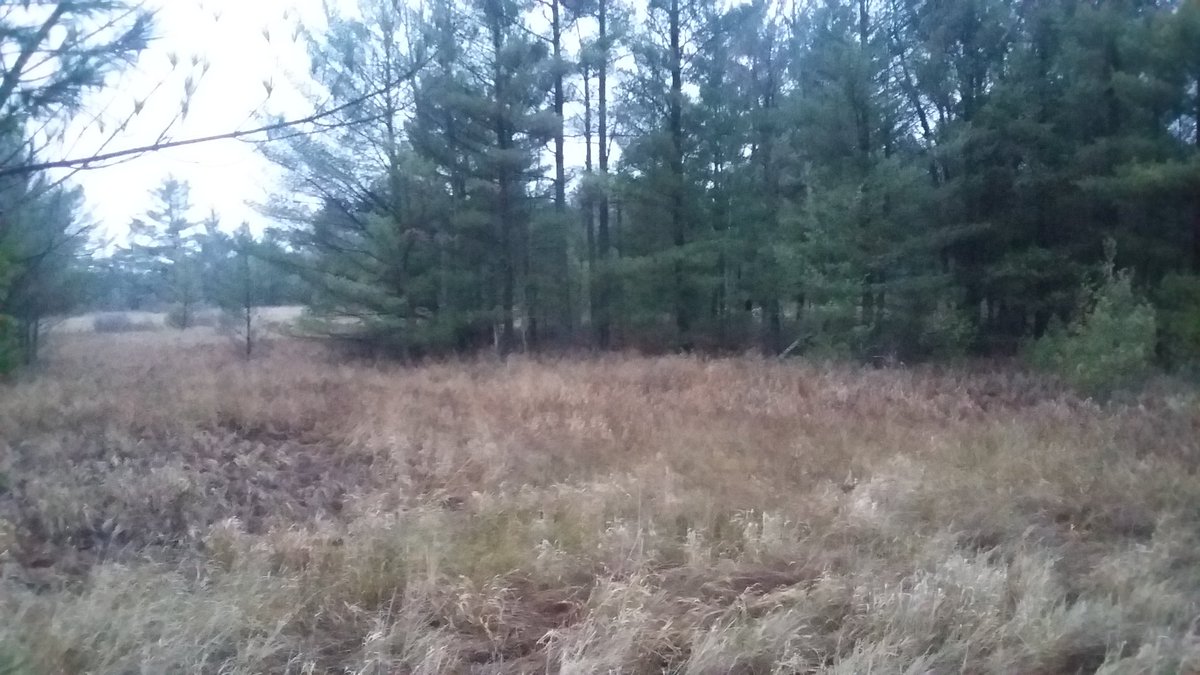 PManriquez_6's tweet photo. What a beautiful view to start Opening Day of Gun Deer Season! Good luck n safe hunting to all. #WisconsinTradition https://t.co/M4sJlFwjmQ