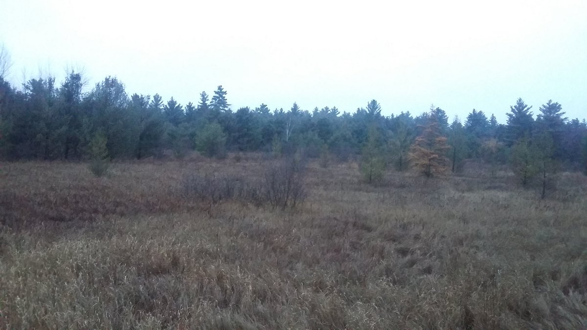 PManriquez_6's tweet photo. What a beautiful view to start Opening Day of Gun Deer Season! Good luck n safe hunting to all. #WisconsinTradition https://t.co/M4sJlFwjmQ