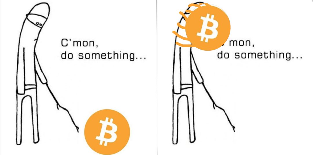 Cointelegraph tweet media