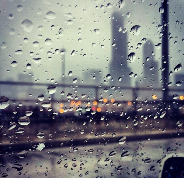 Friends of the Chicago River tweet media