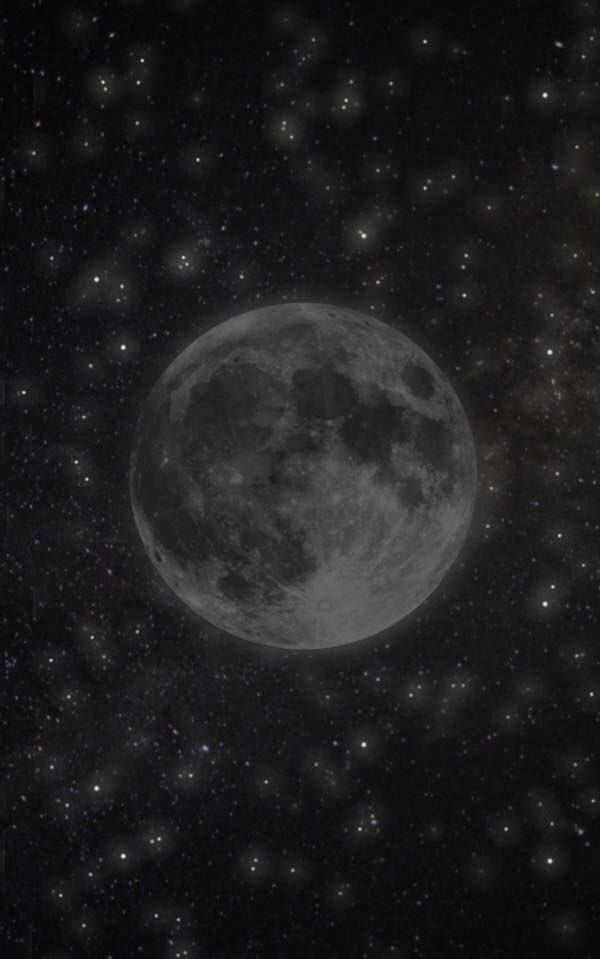 homeofwillow's tweet photo. New moon 🌑 new beginnings 
This is a good time to dream of what you wish to create in your life. Perhaps you don’t know exactly what you want it to look like but taking some time to imagine how you will feel once it has manifested will guide you towards a more specific vision. https://t.co/38inEaEuAk