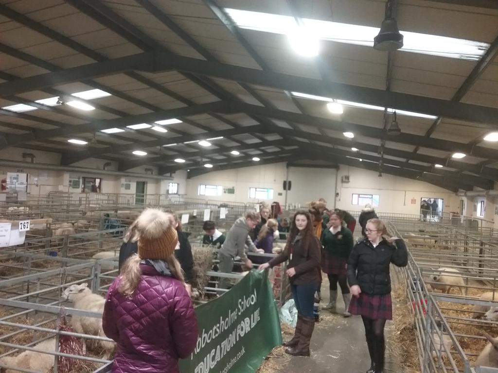Animalholme's tweet photo. @AbbotsholmeSch students preparing their sheep for the @Engwinterfair @StaffShowground @StaffsYFC Good luck to everyone https://t.co/6vfc0Rnvph