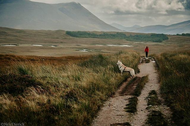 VisitScotland's tweet photo. The 96 mile #WestHighlandWay runs from #Milngavie to #FortWilliam taking in some epic scenery, would YOU like to do it? 💪 👣 📷 IG/lief.spook https://t.co/hdo22dO00v