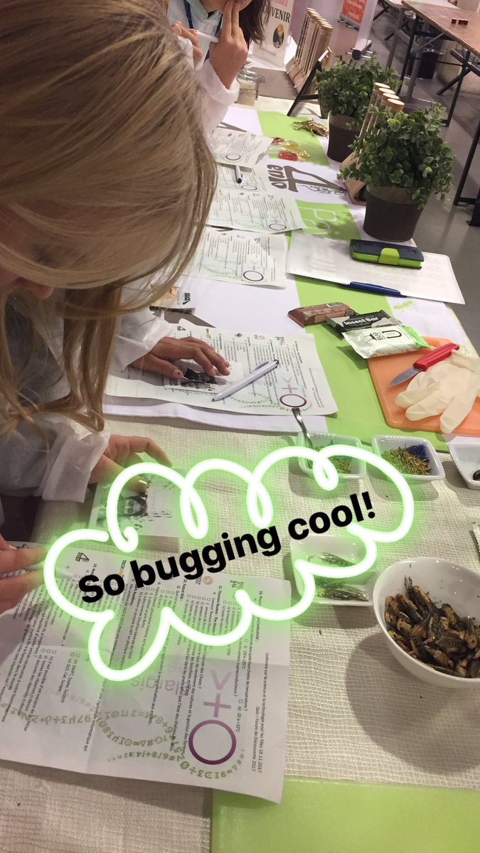 EtH_Geneve's tweet photo. #insectfun #EyH2017 https://t.co/l8cCas92NZ