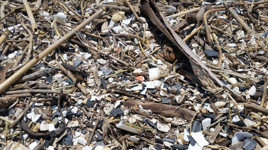 Minoshni's tweet photo. The amount of toxic polystyrene in and around the water is horrendous! #CleanBlueLagoon #sabcnews https://t.co/Fi0lU7tRZw