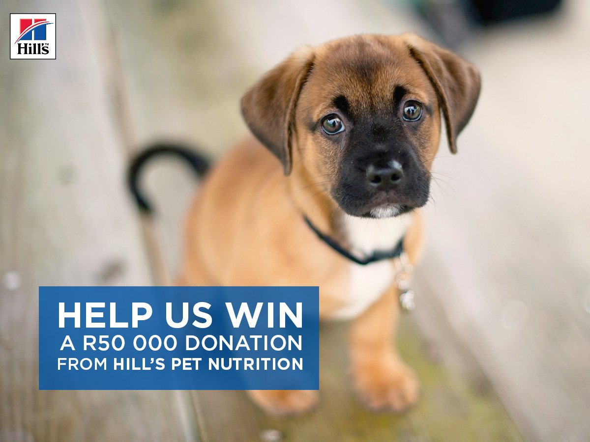 dargdays's tweet image. Share your pet’s Hill’s story and YOU + @dargdays could win on HillsTransformingLives.co.za #HillsLovesShelters  @HillsPetSA