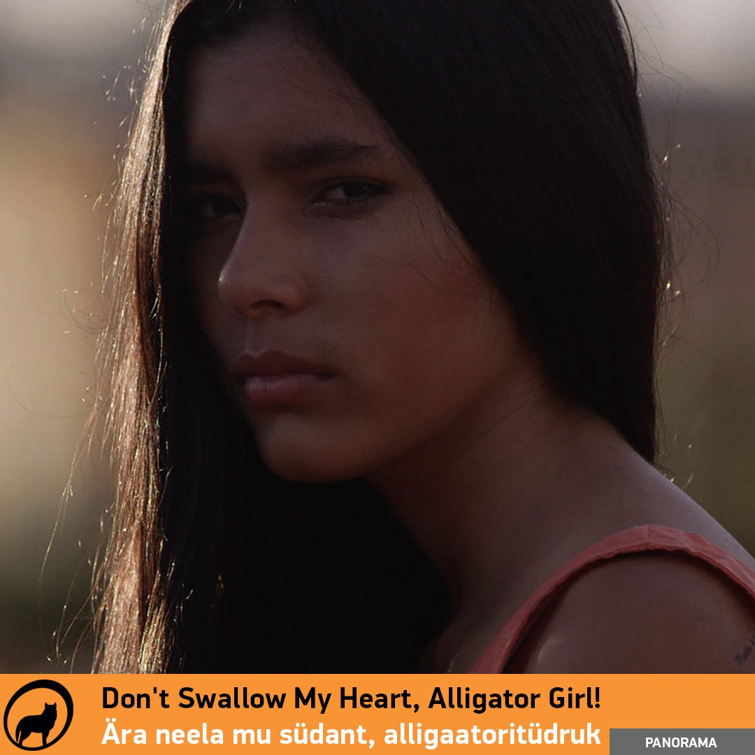 TallinnBNFF's tweet image. Today at #PÖFF: "Don't swallow my heart alligator girl", a Romeo and Juliet story, set in the middle of the Brazilian Jungle. poff.ee/eng/films/3003… #TallinnBlackNightsFF #PÖFF21