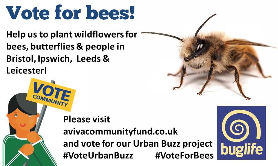 Buzz_dont_tweet's tweet photo. 3 days left! Please vote for our Urban Buzz project in #AvivaCommunityFund so we can plant more wildflowers for pollinators & people! https://t.co/rNNfxoUMUn #Vote4Bees https://t.co/wTzUuaAS06