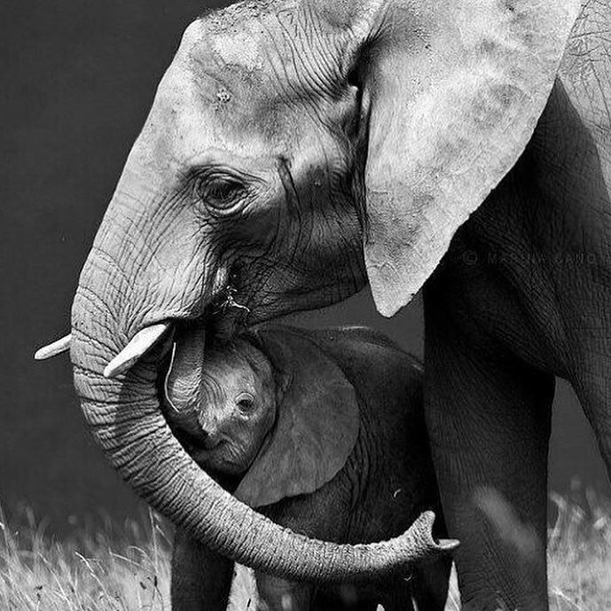 Andrea Cunningham tweet media