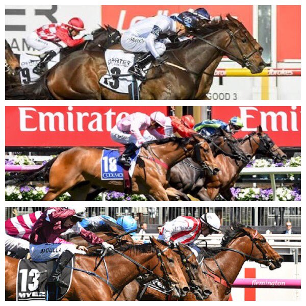 shane_wright86's tweet image. Nice to pick up 2 new stakes winners this week for #IAmInvincible it can feel luck is against you with 3 getting beat by the narrowest of margins in GR1 in the past few weeks #Viddora/Moir #InvincibleStar/Coolmore #Eckstein/Myer