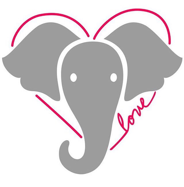 Leopard Conservation tweet media