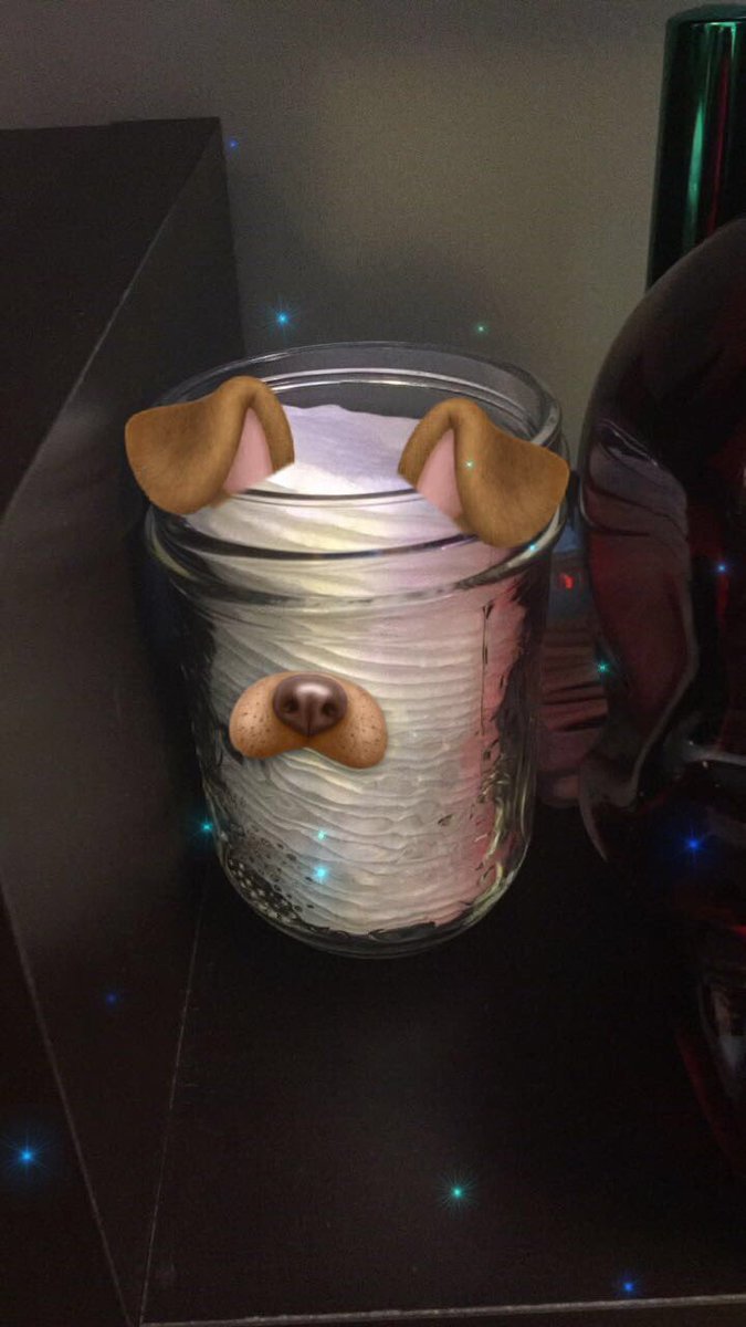 littleton_lion's tweet photo. Studying a.k.a. Spending 20 minutes trying to get Snapchat to recognize different things in my room as faces #whatisfocus https://t.co/mAYGkhmasb