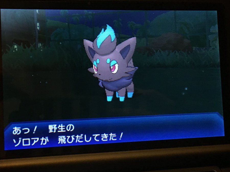 ウルトラサンムーン Usum 新しく追加された野生のポケモン一覧 ゾロアやウルガモスも出る ホロロ通信おすすめゲームと攻略裏技最新まとめ ホロロ通信