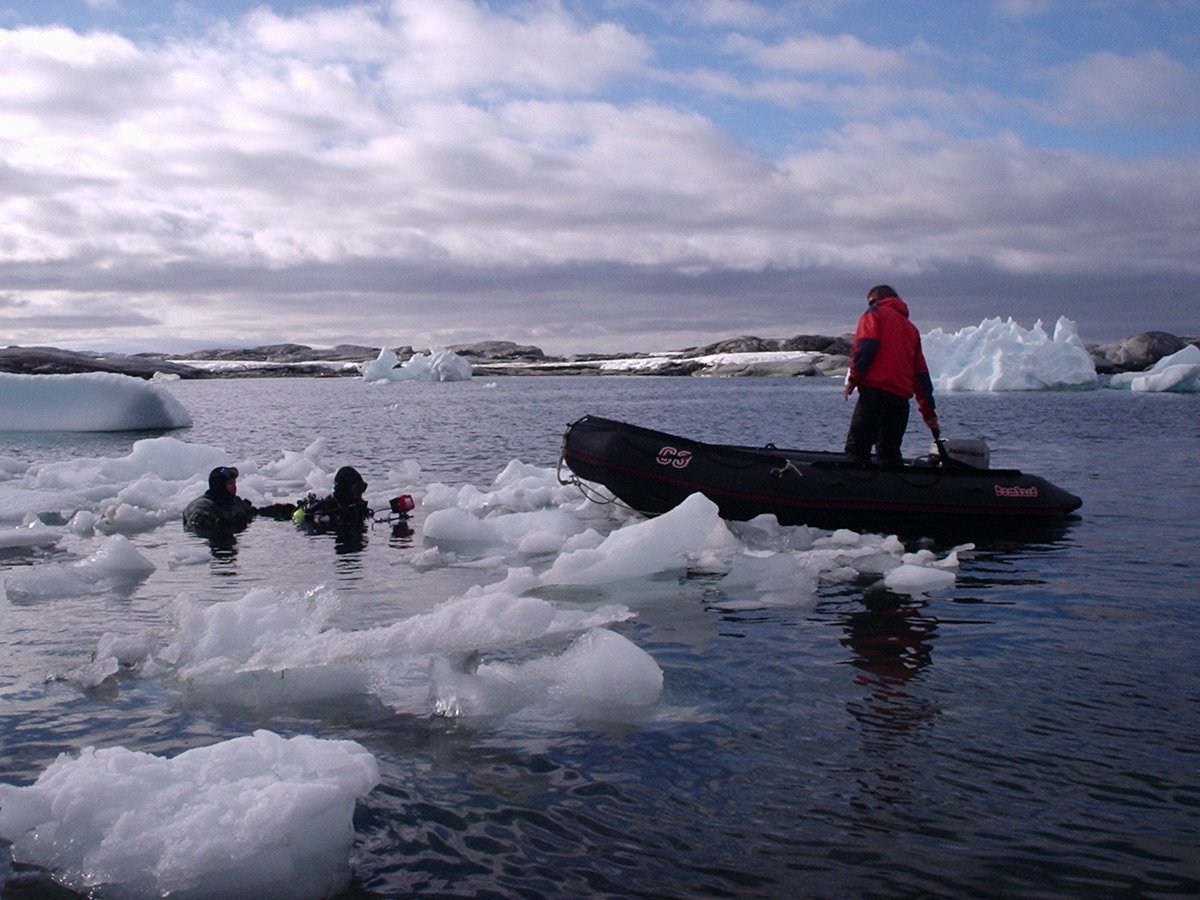 Hoy en <a href="/alfilo_tve/">Al Filo</a> a las 13.15 por la_2 el equipo repasa las mejores aventuras acuáticas