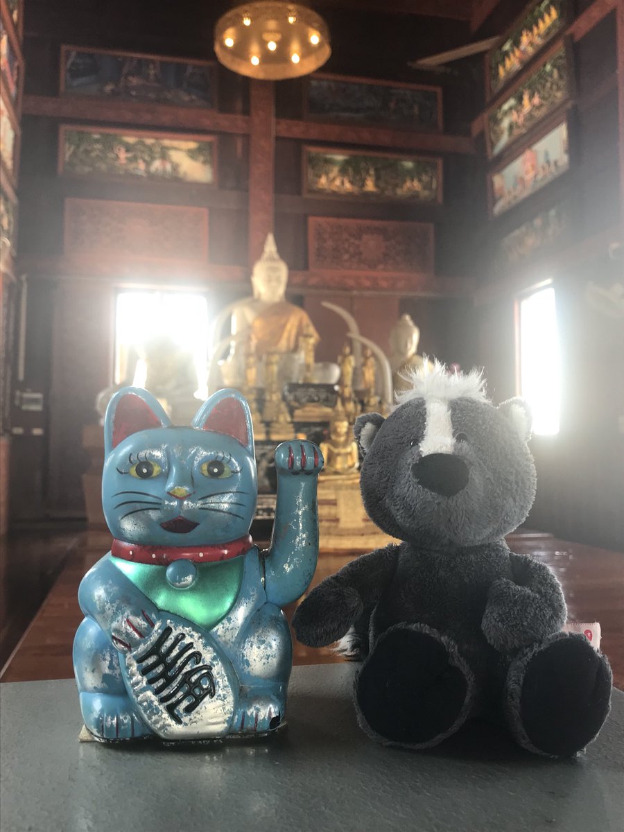 StinkiderStink's tweet photo. Darf ich vorstellen, meine neue #Freundin. #winkekatze und ich haben dann mal schön angehangen. Wobei man heute eher #gechillt sagt oder? #jugendwort #stinkiworldtour #Urlaub #Tempel #Kultur https://t.co/sK5n56HEXG