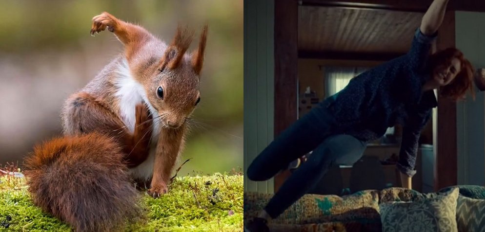 connybiesinger's tweet photo. I know Squirrel what you did there, but let me tell you, @KatBarrell is waaaay more cooler to perform that iconic #BarrellRoll™. 😎 
Have a great #KaturdayWE everyone! 😊
#WynonnaEarp #WayHaught https://t.co/PfcMzJXeD5