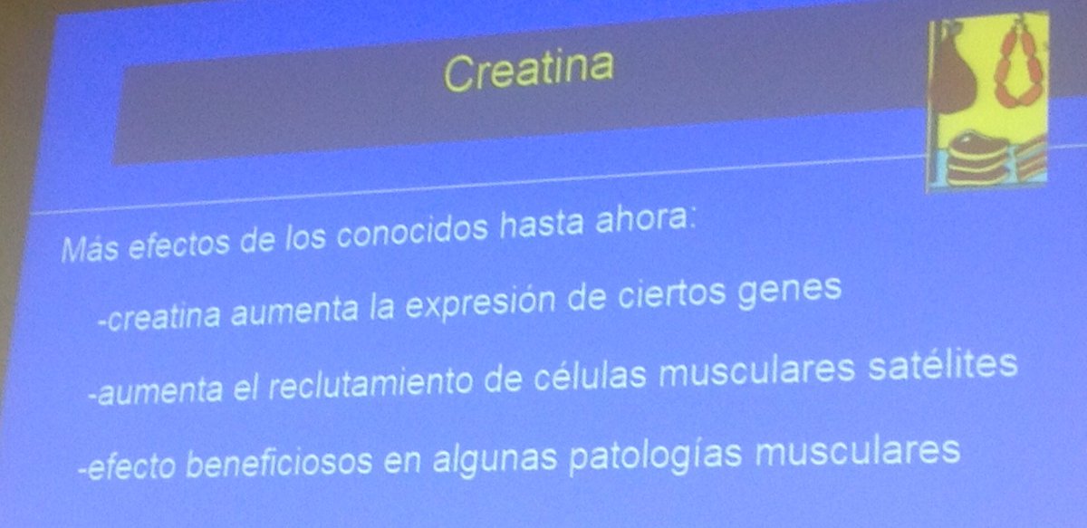 APFfutbolpf's tweet photo. #MasterPr la creatina y HMB, hydroxy methylbutyrato aumenta la resintesis de la masa muscular https://t.co/YqftGnnHR4