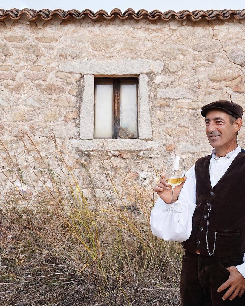 Alice_S__'s tweet photo. Chi gradisce un #Vermentino di Gallura DOCG? https://t.co/KJapg0Ro1o