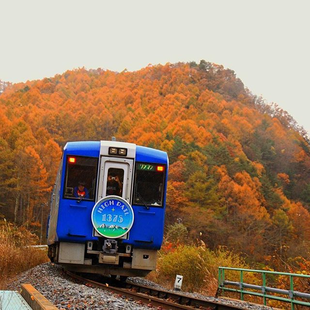 びゅうたび 秋雨の中を駆け抜けるhigh Rail 1375 写真提供 Tetsuo Hiraiwa57さん 紅葉 Highrail ハイレール Highrail1375 小海線 長野 佐久